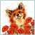 Poppy Field (Counted Cross Stitch Kit)