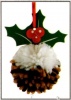 Christmas Pudding - PomPom Kit